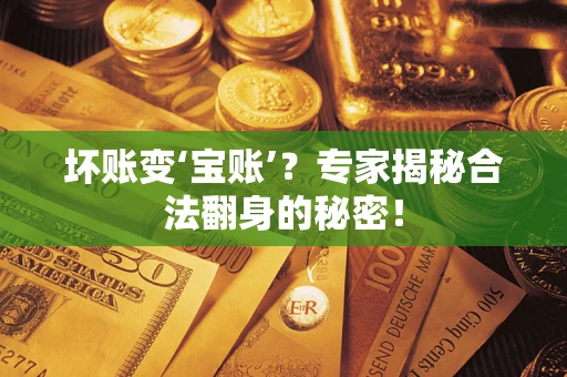 济南坏账变‘宝账’？专家揭秘合法翻身的秘密！