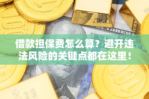 济南借款担保费怎么算？避开违法风险的关键点都在这里！
