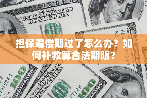 济南担保追偿期过了怎么办？如何补救算合法期限？