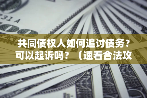 济南共同债权人如何追讨债务？可以起诉吗？（速看合法攻略）